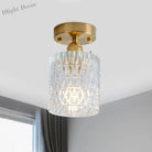 Industrial Chic Meets Modern Versatility: The Clear Glass Single - Light Gold Ceiling Light