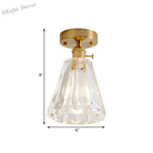 Industrial Chic Meets Modern Versatility: The Clear Glass Single - Light Gold Ceiling Light