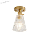 Industrial Chic Meets Modern Versatility: The Clear Glass Single - Light Gold Ceiling Light