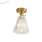 Industrial Chic Meets Modern Versatility: The Clear Glass Single - Light Gold Ceiling Light