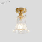 Industrial Chic Meets Modern Versatility: The Clear Glass Single - Light Gold Ceiling Light