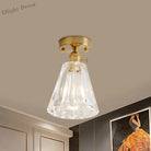 Industrial Chic Meets Modern Versatility: The Clear Glass Single - Light Gold Ceiling Light