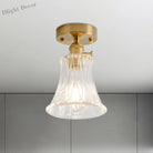 Industrial Chic Meets Modern Versatility: The Clear Glass Single - Light Gold Ceiling Light