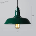 Industrial Iron Pendant Light (1 - Light) - Choose Your Size And Finish