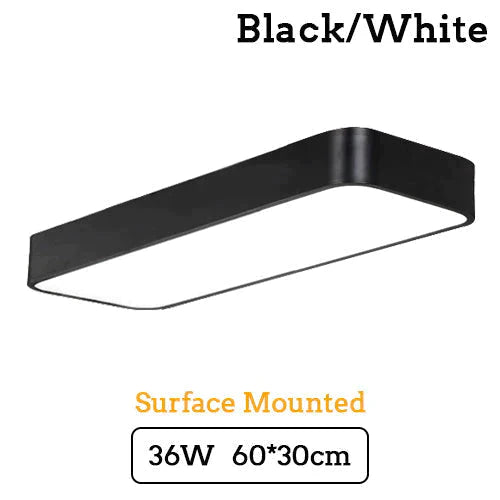 Catalina Elegance Meets Functionality: Led Ceiling Light For Home & Commercial Use White Body /