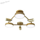 Modern Illumination Meets Elegant Design: The Gold Metal Round Ceiling Light